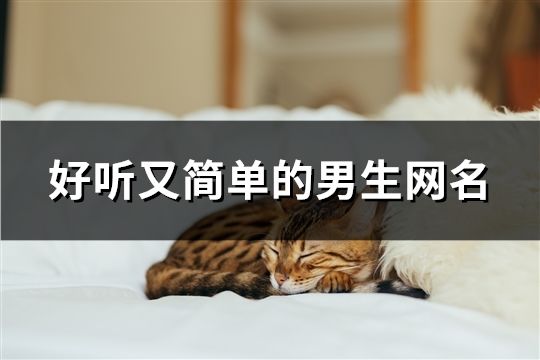 好听又简单的男生网名(797个)