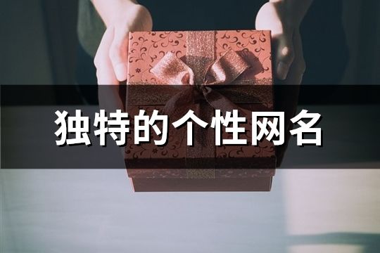 独特的个性网名(共749个)