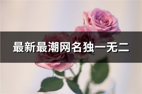 最新最潮网名独一无二(共1419个)