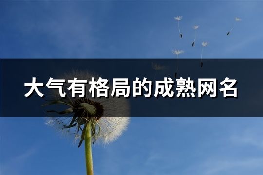 大气有格局的成熟网名(共870个)