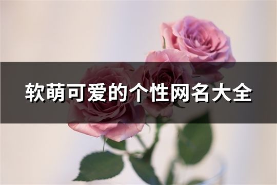 软萌可爱的个性网名大全(精选593个)