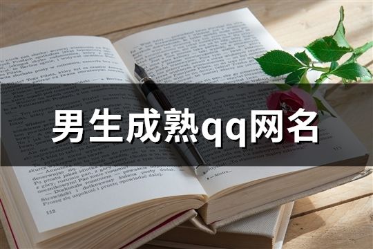 男生成熟qq网名(精选856个)