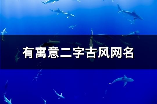 有寓意二字古风网名(647个)