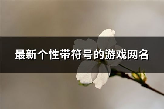 最新个性带符号的游戏网名(精选505个)