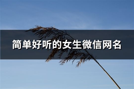 简单好听的女生微信网名(共1178个)