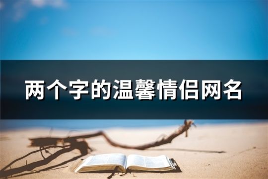 两个字的温馨情侣网名(191个)