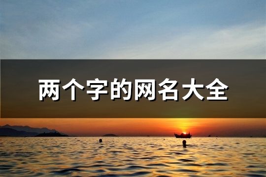 两个字的网名大全(507个)