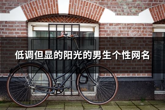 低调但显的阳光的男生个性网名(共1236个)