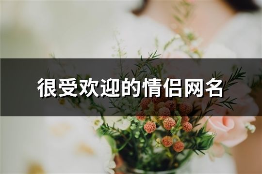 很受欢迎的情侣网名(共535个)