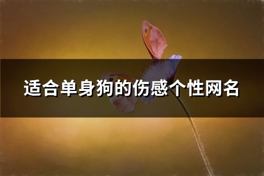 适合单身狗的伤感个性网名(精选655个)