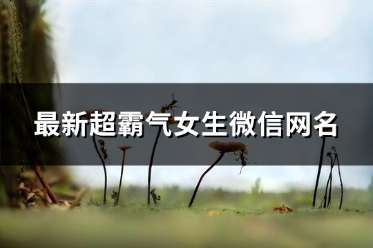最新超霸气女生微信网名(849个)