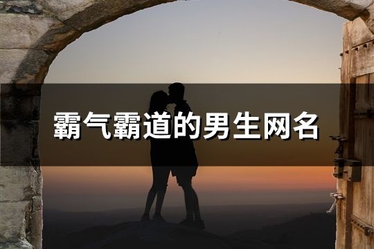霸气霸道的男生网名(共296个)