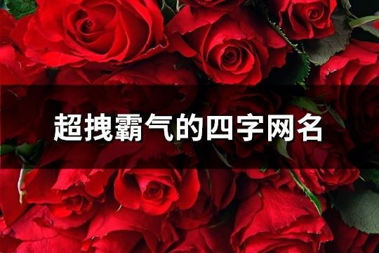 超拽霸气的四字网名(793个)