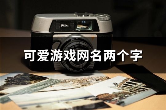 可爱游戏网名两个字(共381个)