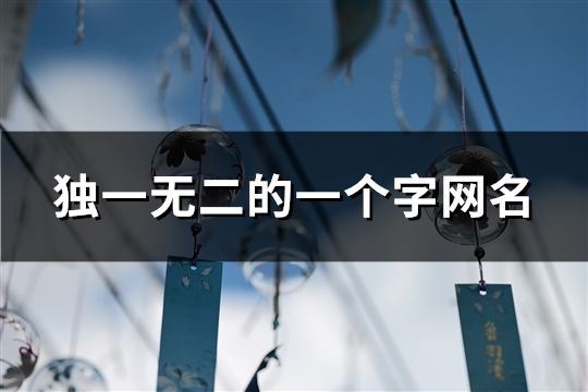 独一无二的一个字网名(717个)