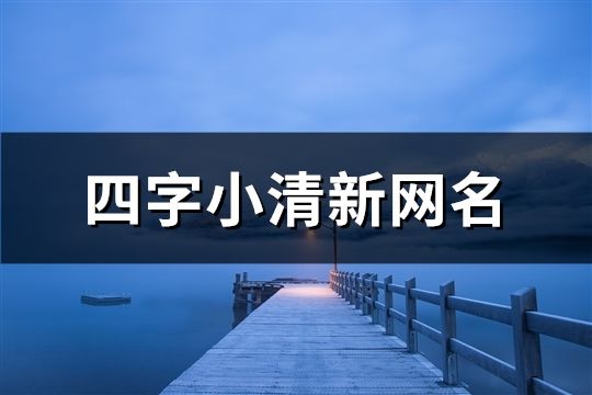 四字小清新网名(共919个)