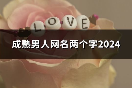 成熟男人网名两个字2024(共44个)