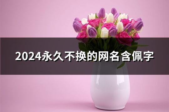 2024永久不换的网名含佩字(精选46个)