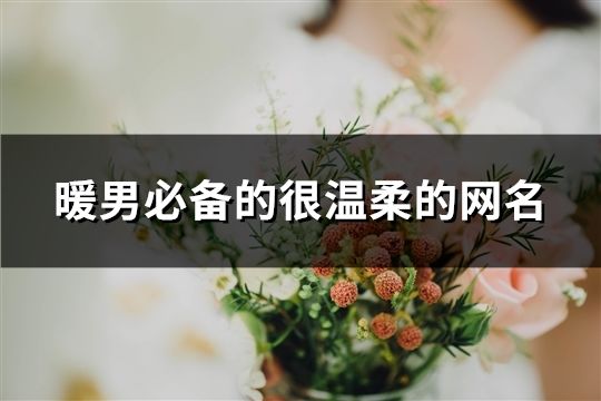 暖男必备的很温柔的网名(283个)