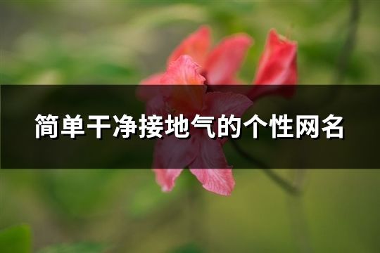 简单干净接地气的个性网名(119个)