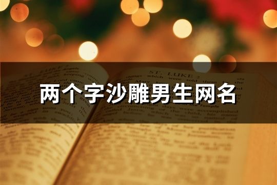 两个字沙雕男生网名(精选1269个)