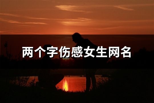 两个字伤感女生网名(精选776个)