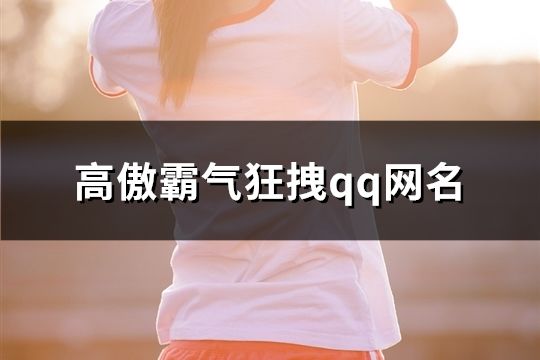 高傲霸气狂拽qq网名(精选342个)