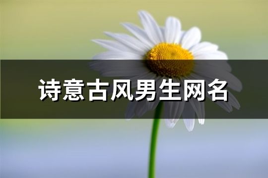 诗意古风男生网名(169个)