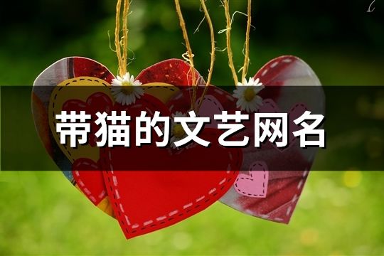带猫的文艺网名(精选170个)