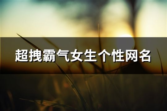 超拽霸气女生个性网名(464个)