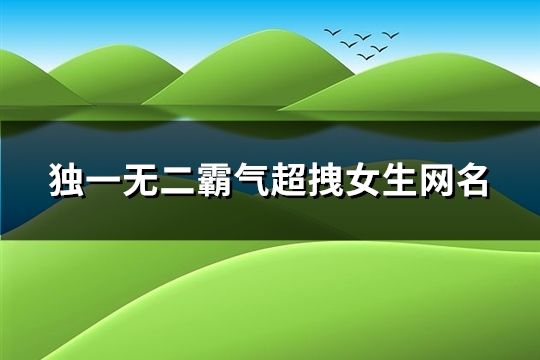 独一无二霸气超拽女生网名(共288个)