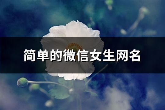 简单的微信女生网名(共432个)