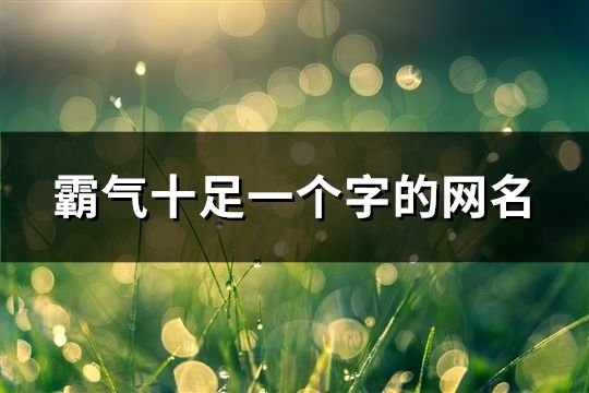 霸气十足一个字的网名(367个)