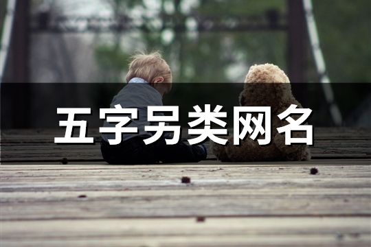 五字另类网名(617个)