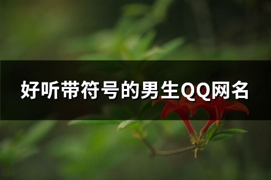 好听带符号的男生QQ网名(精选394个)