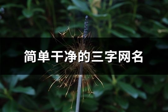 简单干净的三字网名(精选2471个)