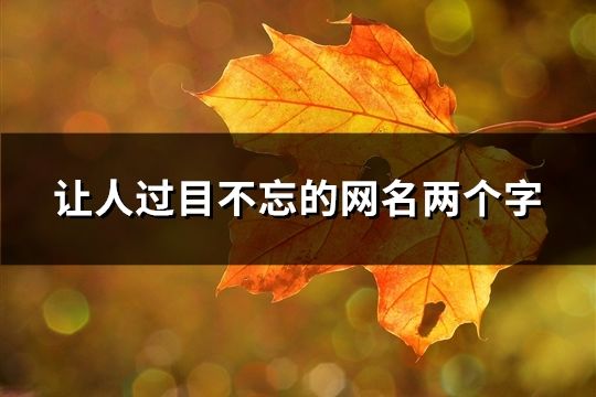 让人过目不忘的网名两个字(共40个)