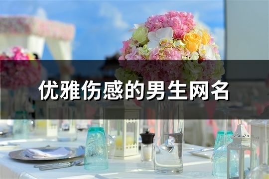 优雅伤感的男生网名(858个)