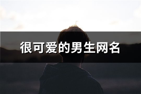 很可爱的男生网名(精选385个)