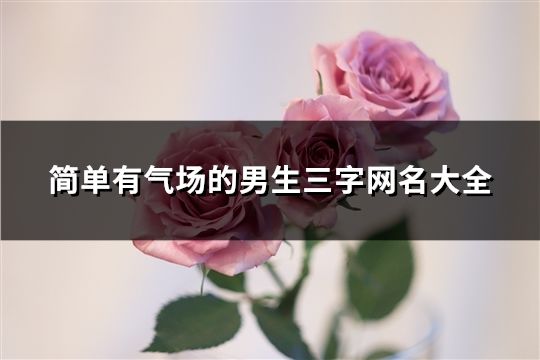 简单有气场的男生三字网名大全(精选40个)