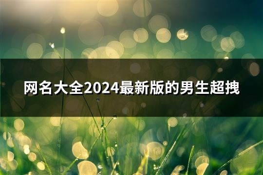 网名大全2024最新版的男生超拽(精选44个)