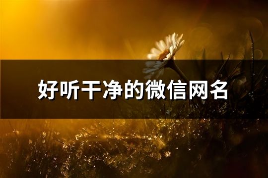 好听干净的微信网名(精选50个)