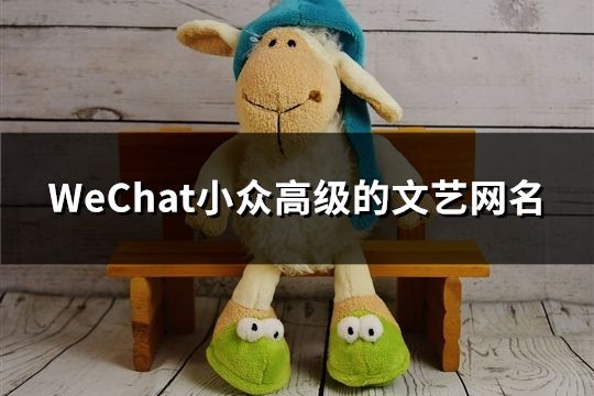 WeChat小众高级的文艺网名(精选32个)