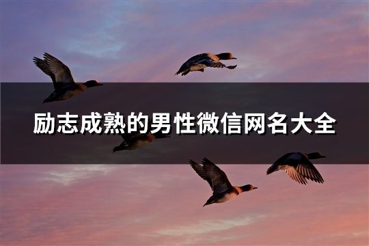 励志成熟的男性微信网名大全(精选48个)