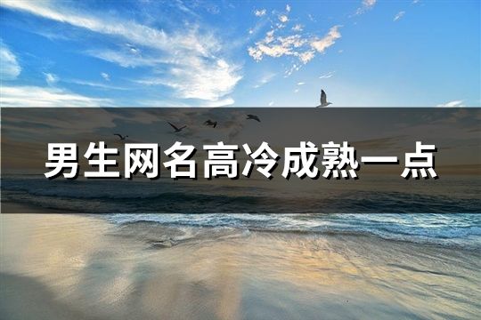 男生网名高冷成熟一点(精选40个)