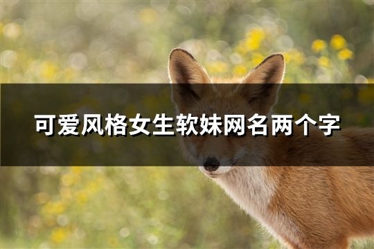 可爱风格女生软妹网名两个字(精选35个)