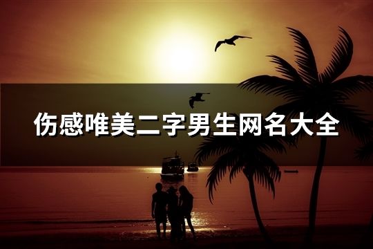 伤感唯美二字男生网名大全(精选1282个)