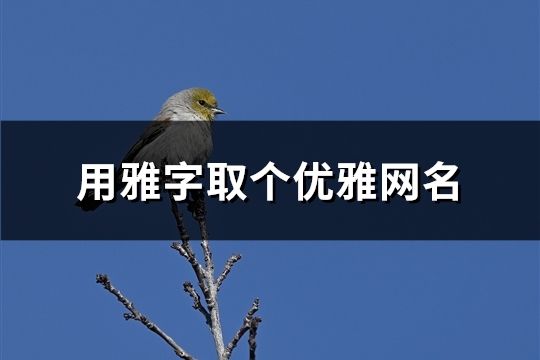 用雅字取个优雅网名(精选128个)