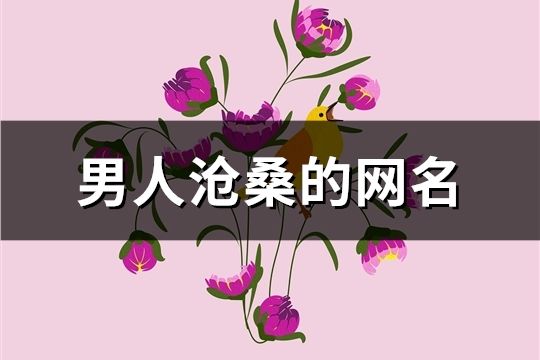 男人沧桑的网名(共546个)