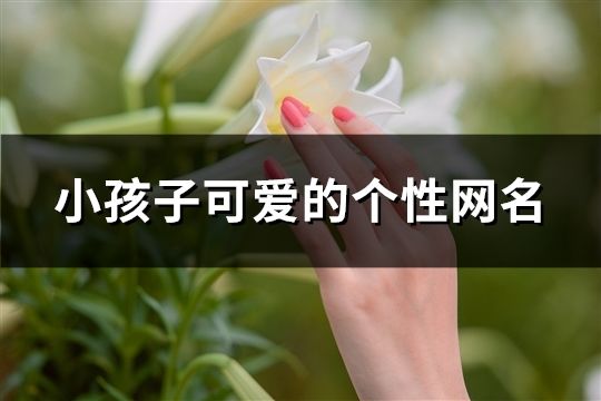 小孩子可爱的个性网名(共287个)